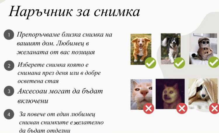Персонализиран калъф с домашен любимец – Кейс със снимка на куче/котка