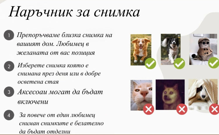 Персонализиран суичър или блуза с бродиран портрет на домашен любимец