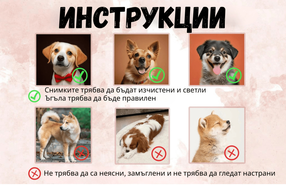 Персонализиран суитшърт с бродиран портрет на домашен любимец - Wishifyy