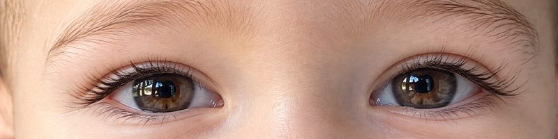 Example: both eyes and brows, close up